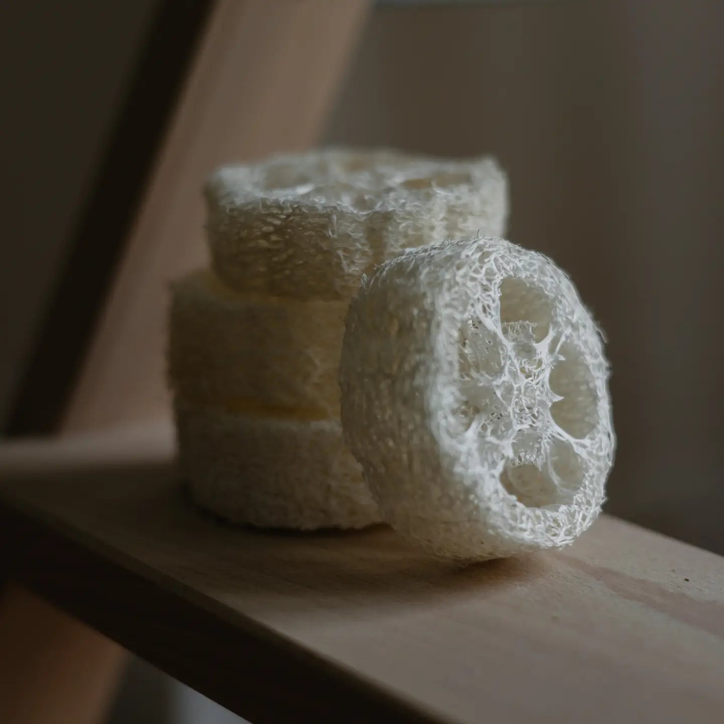 Loofah Slice
