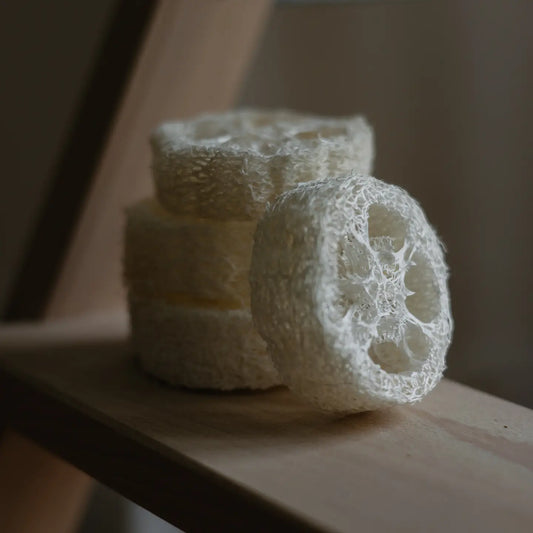 Loofah Slice