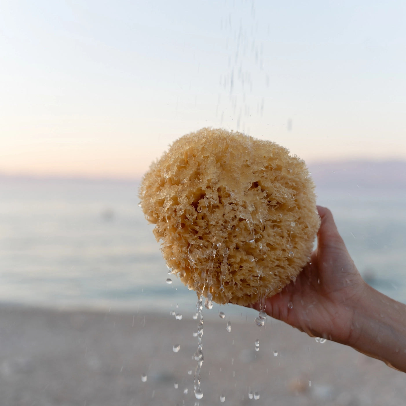 Sustainable Natural Sponge